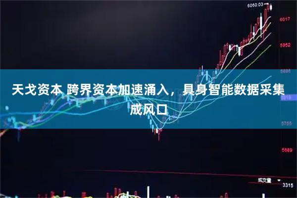 天戈资本 跨界资本加速涌入，具身智能数据采集成风口