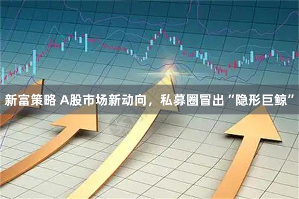 新富策略 A股市场新动向，私募圈冒出“隐形巨鲸”